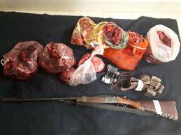 دستگیری شکارچی قوچ در تربت جام